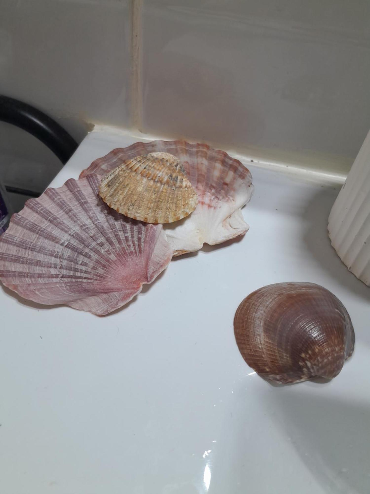 Séjour chez l'habitant Gemuetliches 