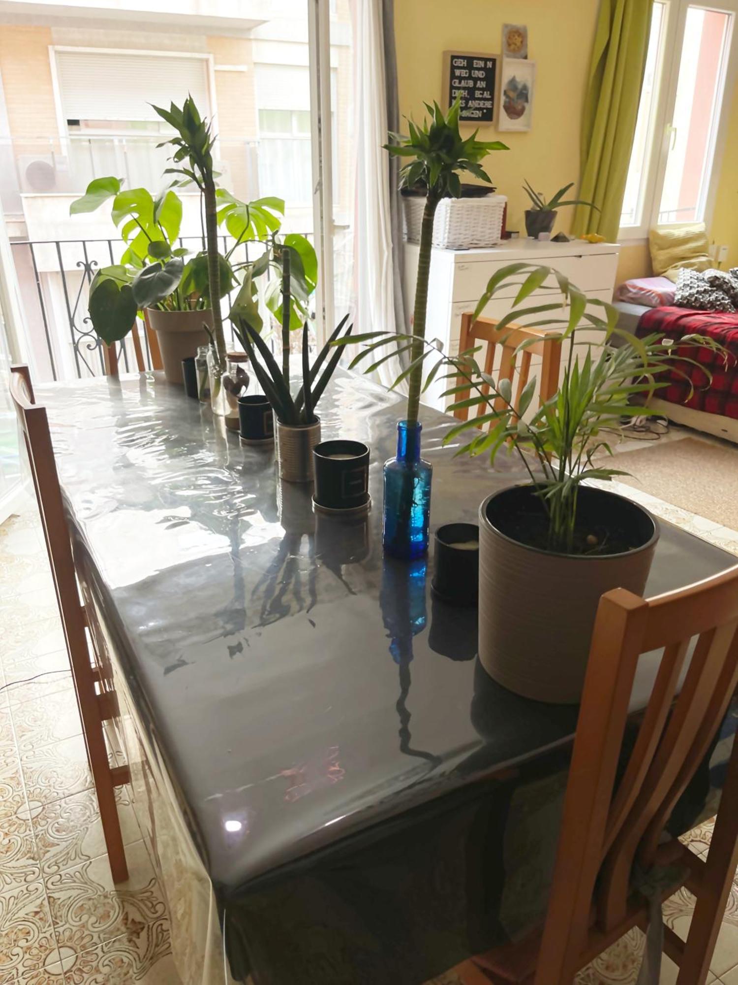 Séjour chez l'habitant Gemuetliches 